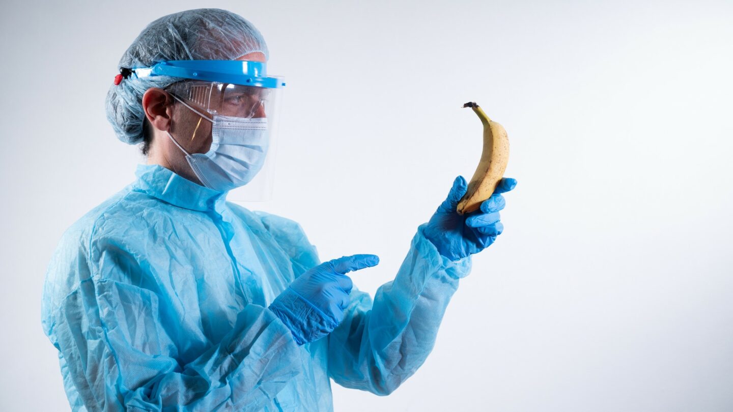 جميع أنواع الموز مشعة، فما سبب ذلك؟ وهل يشكل الأمر خطرًا؟