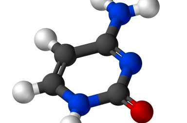 السيتوزين هو أساس آزوتي بيرميديني ومركب عضوي عطري غير متجانس الحلقة. ما الذي يعنيه ذلك؟ وما هو موقعه ضمن الحمض النووي منقوص الأكسجين؟