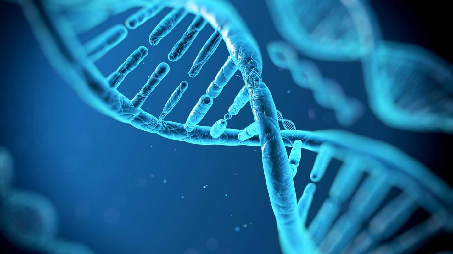 تعديل انزيمات الحمض النووي ممهدًا الطريق لعلاج الأمراض الوراثية