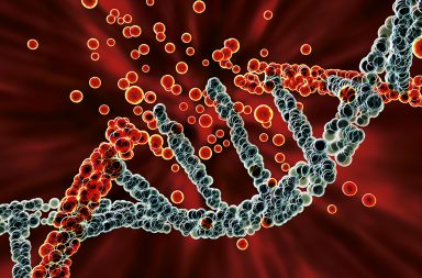 تكشف دراسة أن مكونات الحمض النووي المتخربة بالحرارة يمكن أن تكون مشوّهة فتمتص في أثناء الهضم وتندمج في الحمض النووي للمستهلك