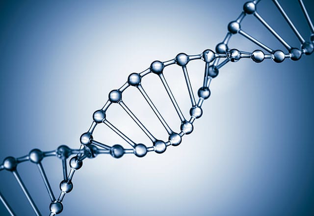 تخزين المعلومات على الحمض النووي «DNA»