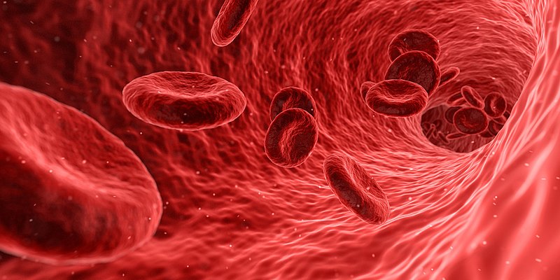 كثرة كريات الدم الحمراء: الأسباب والعلاج