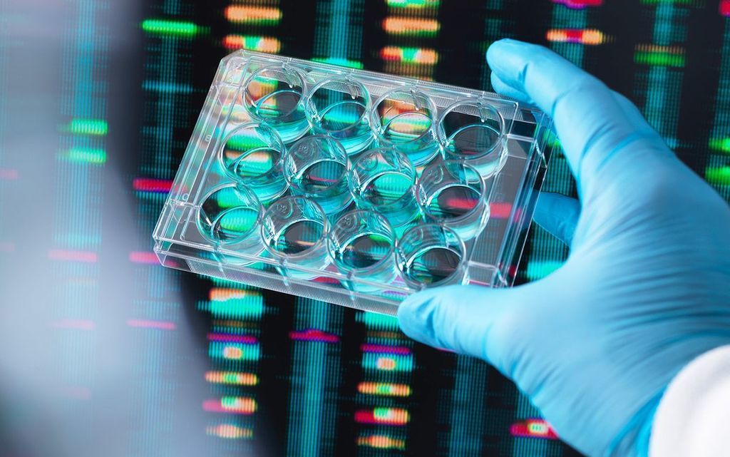 هل يجب أن يكون الاختبار الجيني جزءًا روتينيًا من الفحص الطبي؟