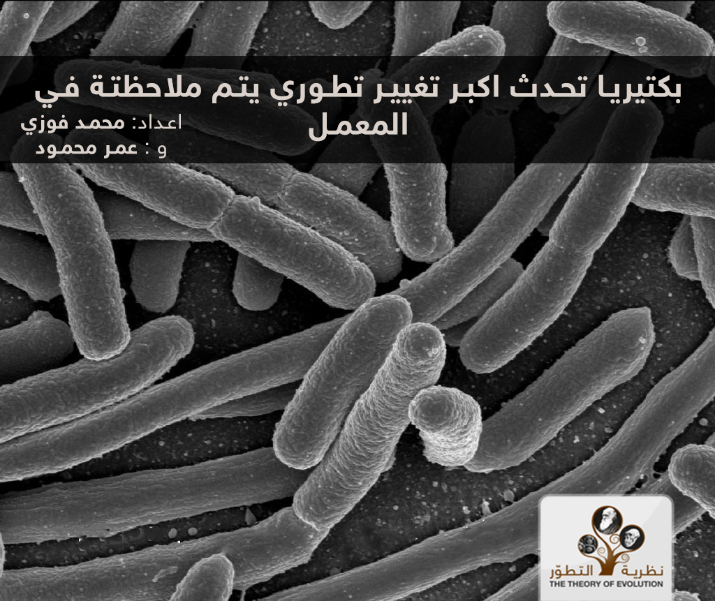 بكتيريا تحدث اكبر تغيير تطوري يتم ملاحظتة في المعمل