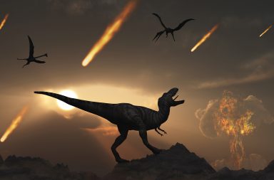 كيف عسانا نتأكد من تورط هذا الكويكب بانقراض الديناصورات؟ كيف تسبّب كويكب في حوادث انقراض أنواع عديدة؟ كويكب انقراض الديناصورات