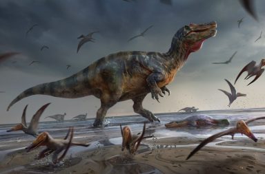 اكتشف مجموعة من العلماء الأمريكيين ديناصورًا آكلًا للحوم في الصحراء المصرية. ديناصور هابيل: ماذا نعرف عن الديناصور المصري الآكل للحوم؟