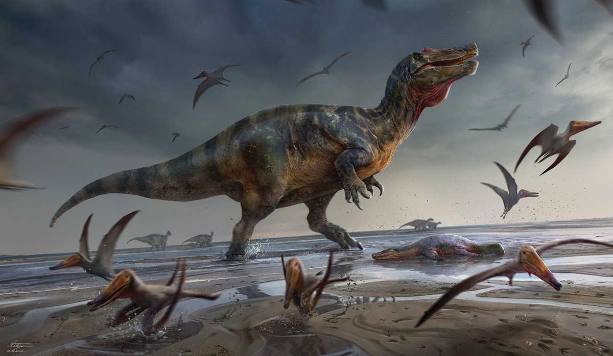 ديناصور هابيل: ماذا نعرف عن الديناصور المصري الآكل للحوم؟