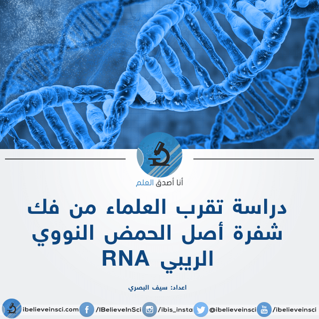 دراسة تقرب العلماء من فك شفرة أصل الحمض النووي الريبي RNA