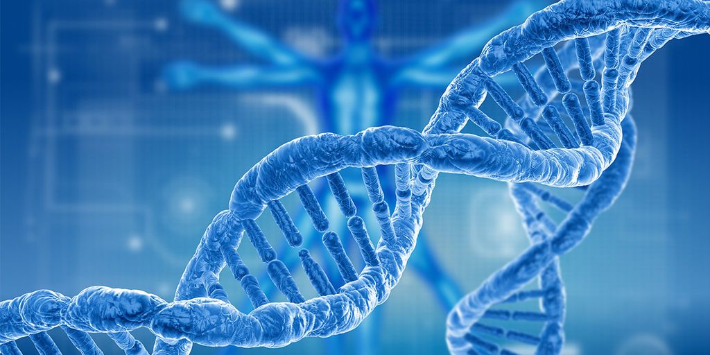 ما هو علم الوراثة ؟