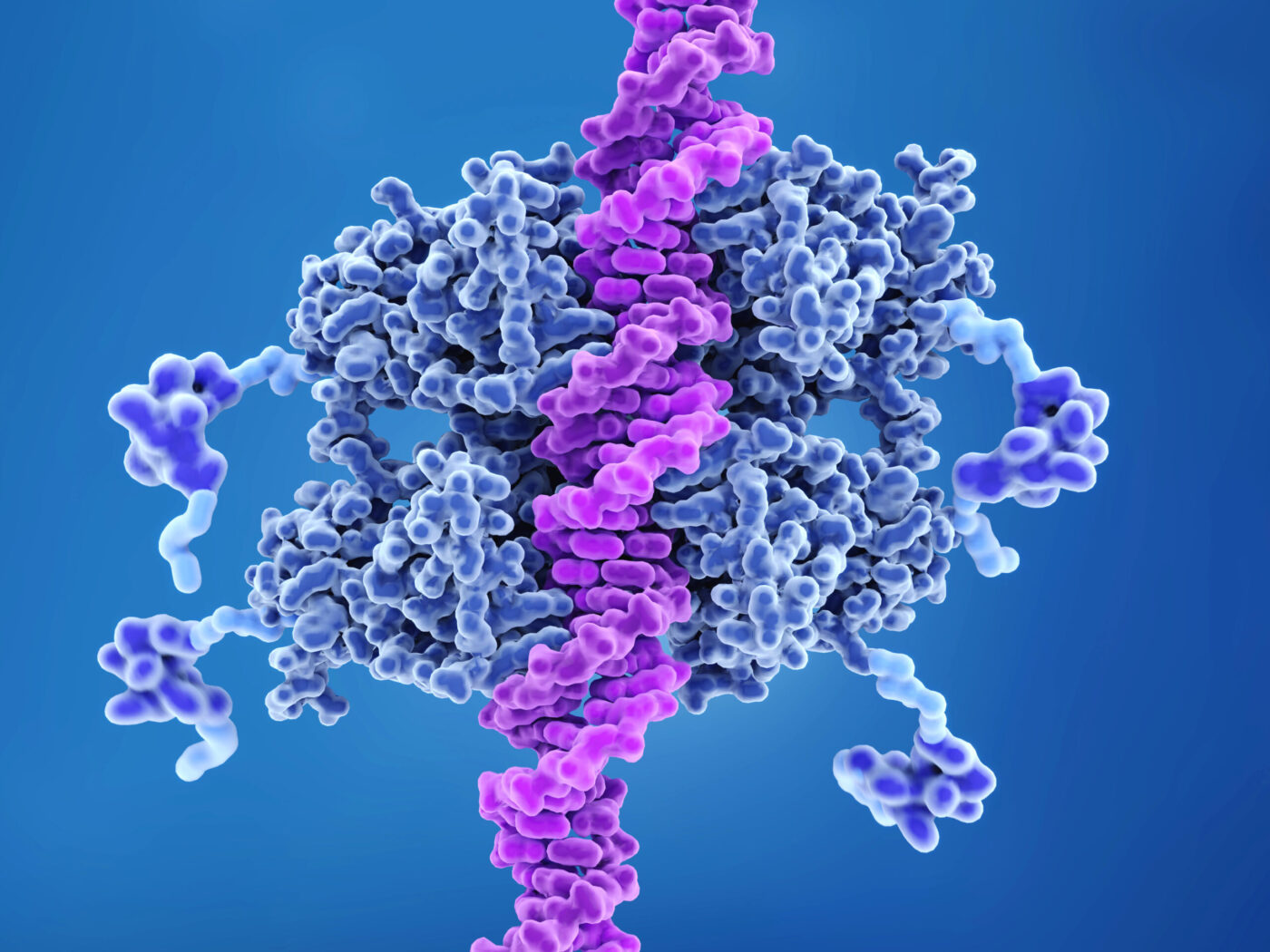 البروتين بي 53: القاسم المشترك بين السرطانات البشرية.. كيف اكتُشف؟ وما وظيفته؟