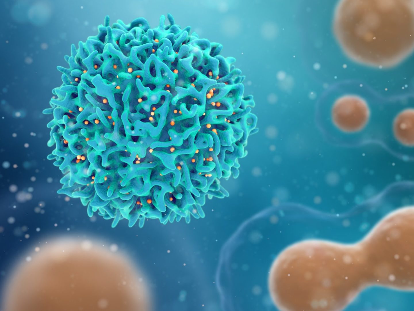 فيروس جي سي: الأسباب وطرق الانتقال والعلاج