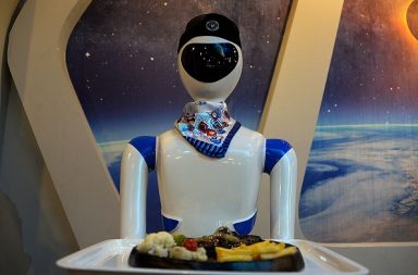 أفادت المطاعم التي قابلتها وكالة ريتشموند نيوز أن الروبوتات كانت مفيدة في بعض الحالات لكنها سببت مشكلات في كثير من الحالات الأخرى. النُدّل الروبوتية