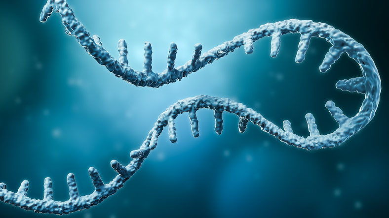 أصل الحياة في الحمض النووي الريبوزي
