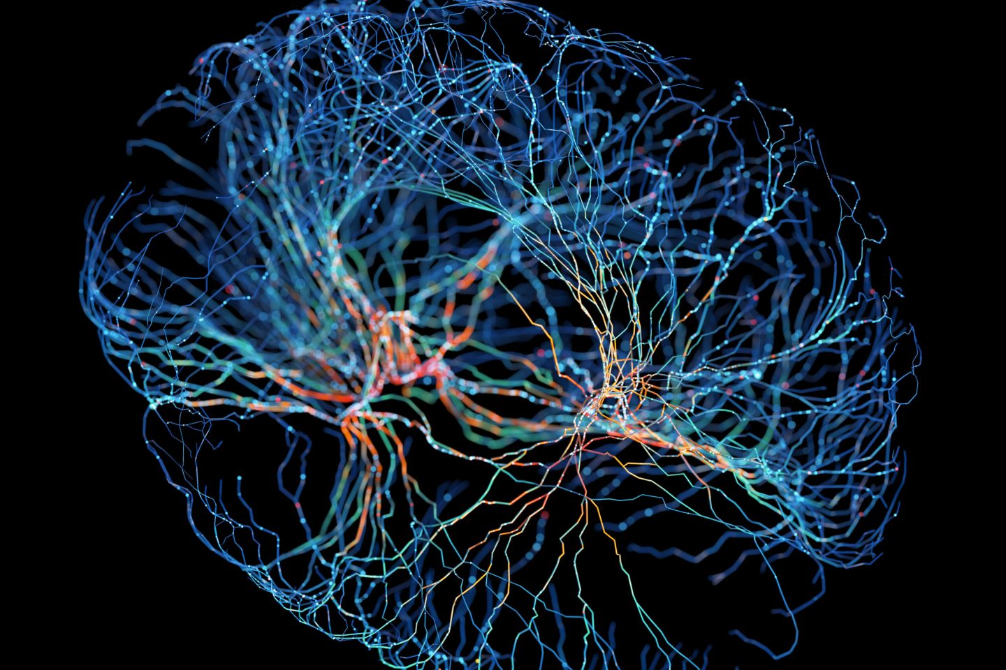 تطوير ذكاء اصطناعي جديد مزود بخلايا من الدماغ البشري