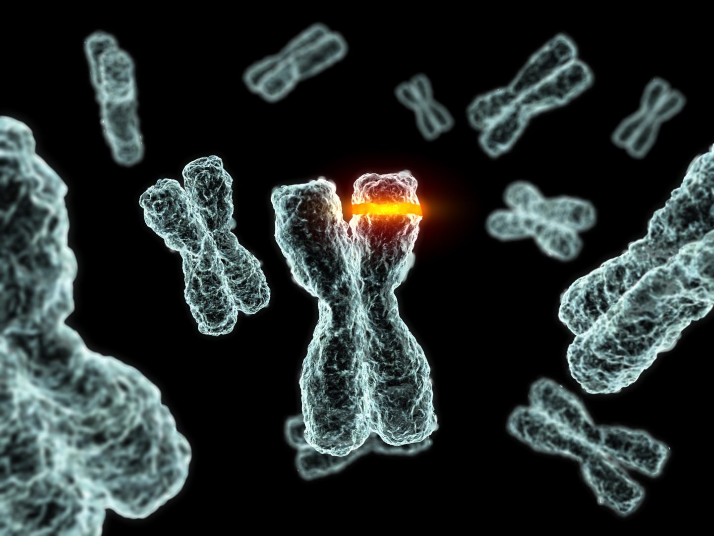 ما هو علم الوراثة الخلوي؟ وما استخداماته في مجال الطب؟