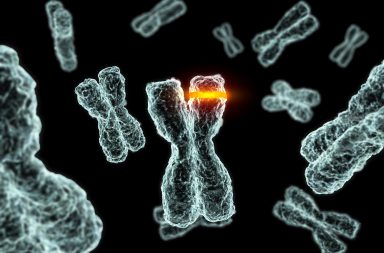 ما أصول علم الوراثة الجزيئي؟ علم الوراثة الخلوي وتطوير الطب الشخصي واكتشاف الأدوية. التقنيات التي تدرس الكروموسومات مثل التهجين الجيني
