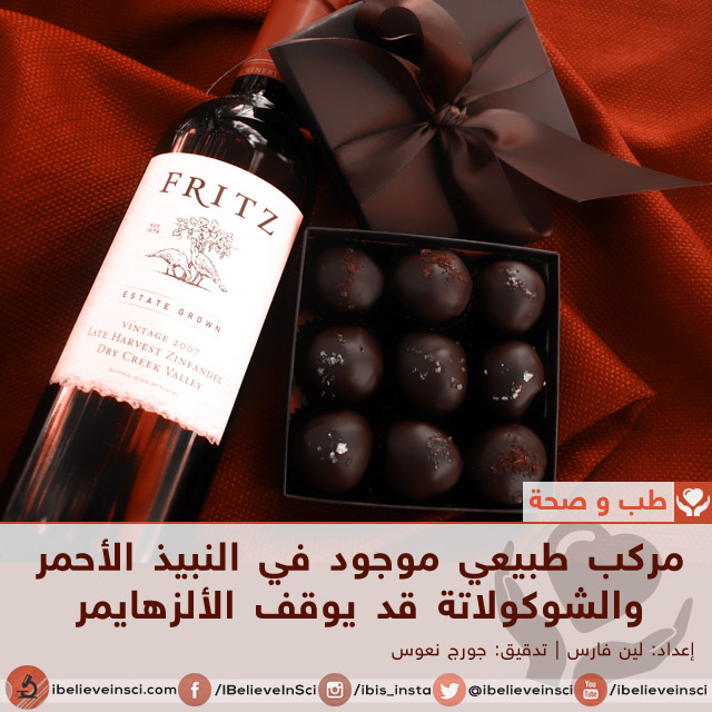 مركب طبيعي موجود في النبيذ الأحمر والشوكولاتة قد يوقف الألزهايمر