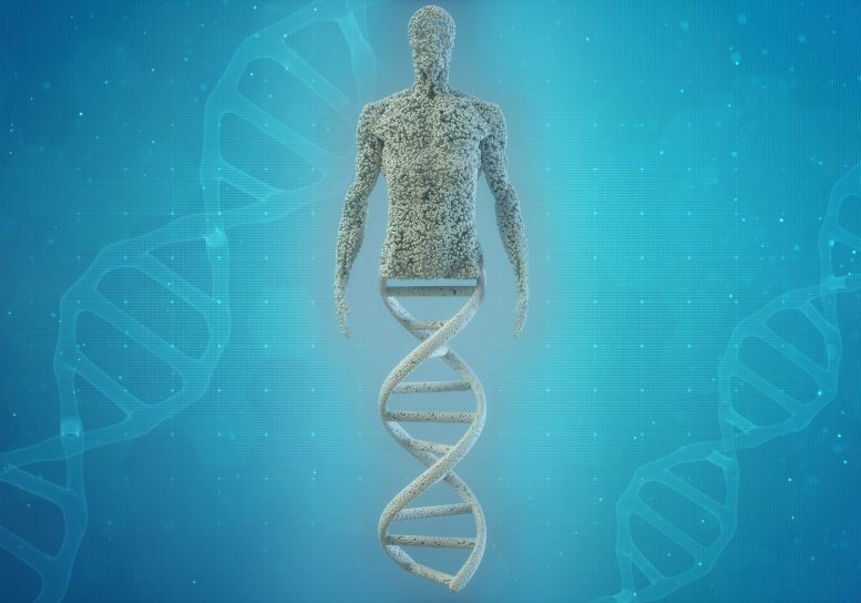 ما الذي يجعلنا بشرًا ويميزنا عن أقرب أسلافنا؟ الإجابة في الحمض النووي!