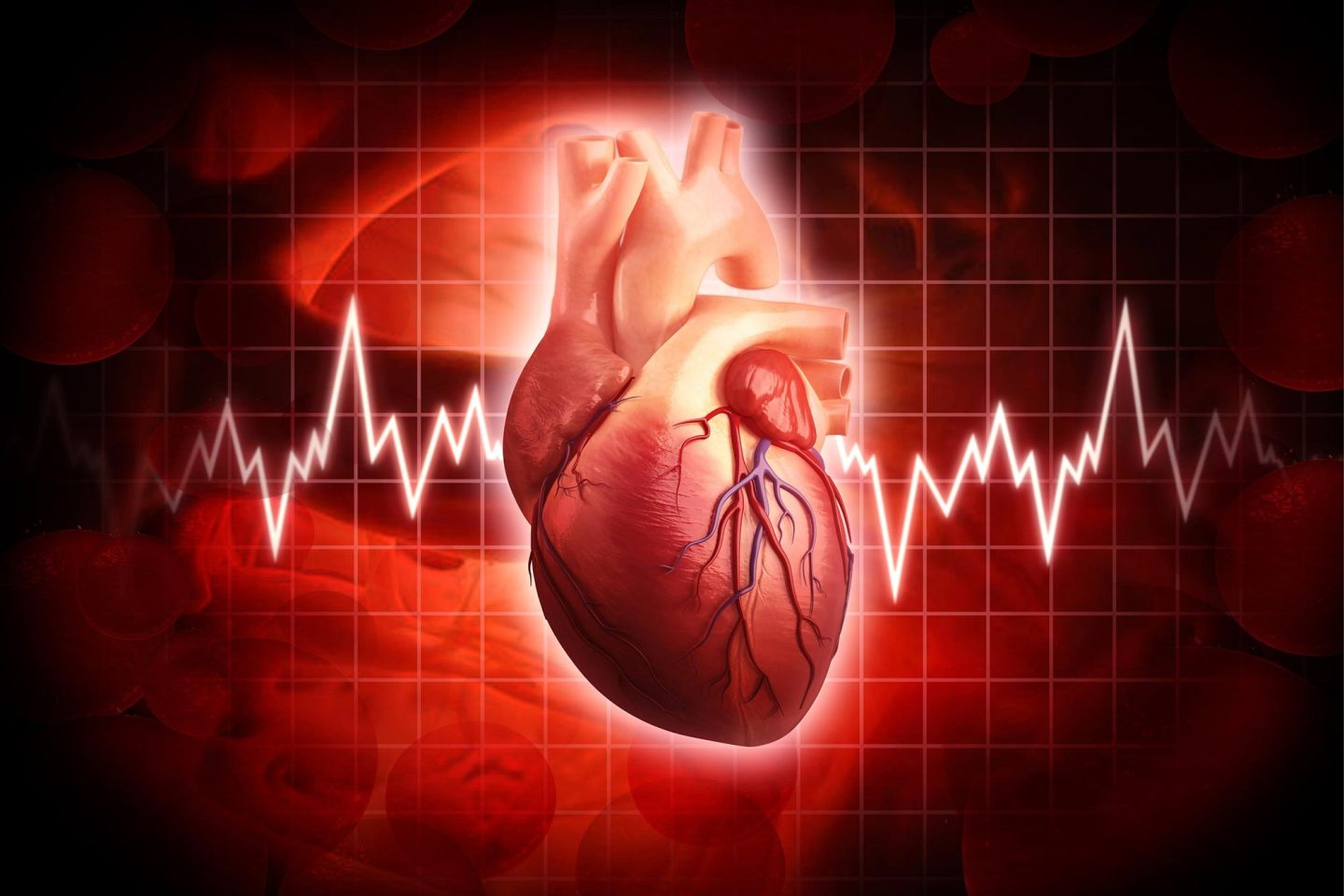 كيف يؤثر اختلاف الجنس في تطور أمراض القلب؟