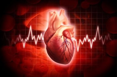 كيفية تأثير الصبغيات الجنسية في القلب - هل توجد أدوية فعالة لإبطاء أعراض تضيق الصمام الأبهري أو وقفها؟ الصبغيات الجنسية وأمراض القلب