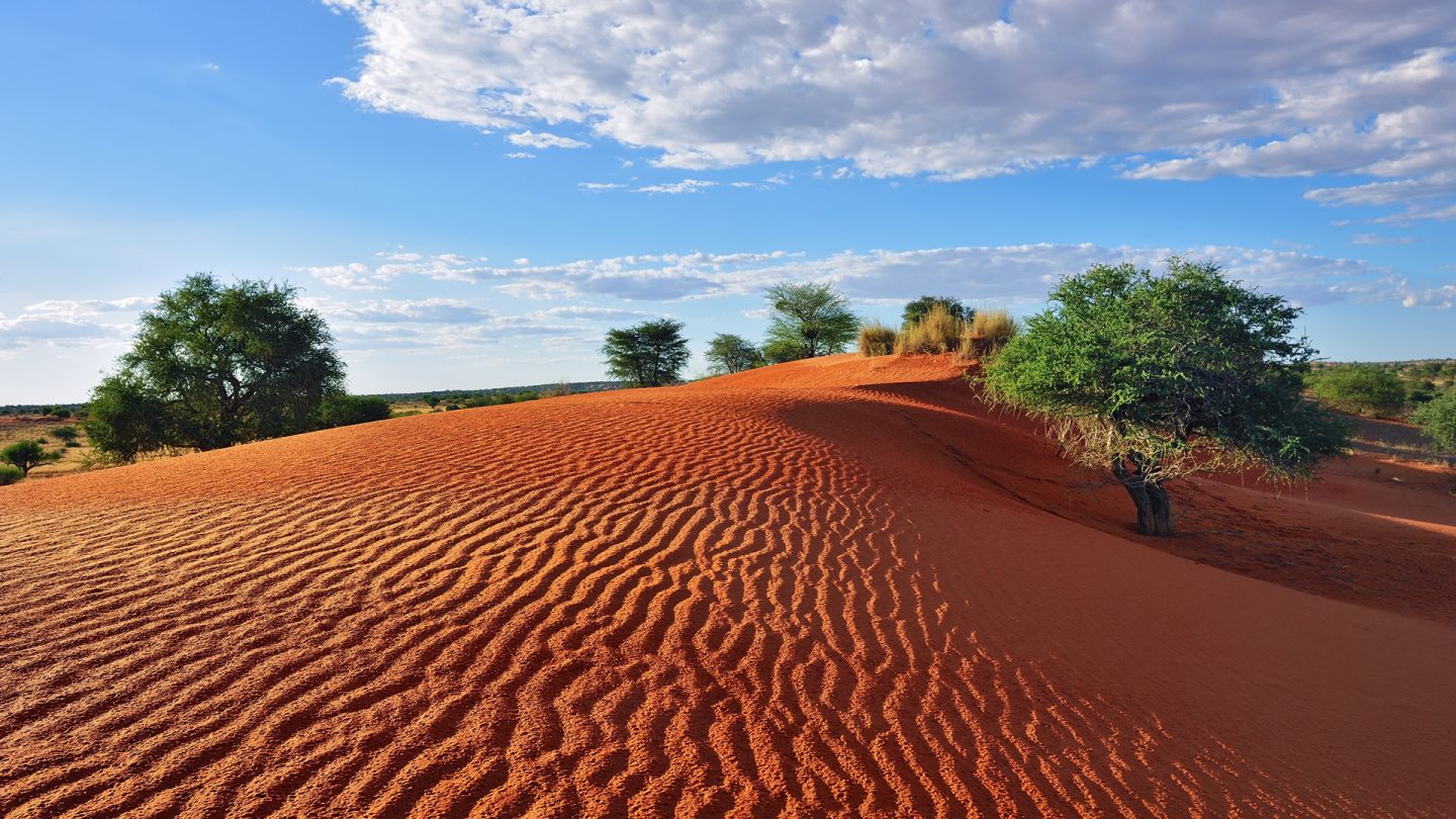 الصحراء تتحول إلى أرض خضراء خصبة كل 21000 عام بحسب دراسة جديدة