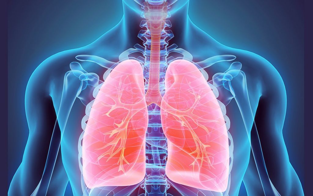 دور الرئتين لا يقتصر على التنفس اكتشاف وظيفة غير متوقعة للرئتين