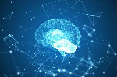 الذاكرة: كيف تتشكل الذكريات في الدماغ كيف تعمل الذاكرة طويلة الأمد وقصيرة الأمد المشابك العصبية في الدماغ النشاط العصبي لمنطقة الحصين