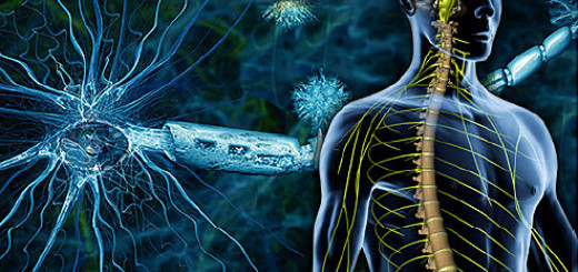 Multiple sclerosis بالعربي