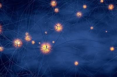 اكتشاف خلايا عصبية جديدة تنمو في أنوفنا