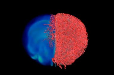 طوّر باحثون من جامعة جونز هوبكنز طريقةً جديدة لتصوير الأوعية الدموية، يعتقدون أنها ستزيد الأبحاث المبنية على التصوير المخبري - الصور داخل الأوعية الدموية