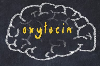 الأوكسيتوسين هو مركب معقد ينتج في الدماغ، وهو معدل عصبي - هرمون الحب هل يسبب العدوانية - تفعيل خلايا عصبية محددة في الدماغ