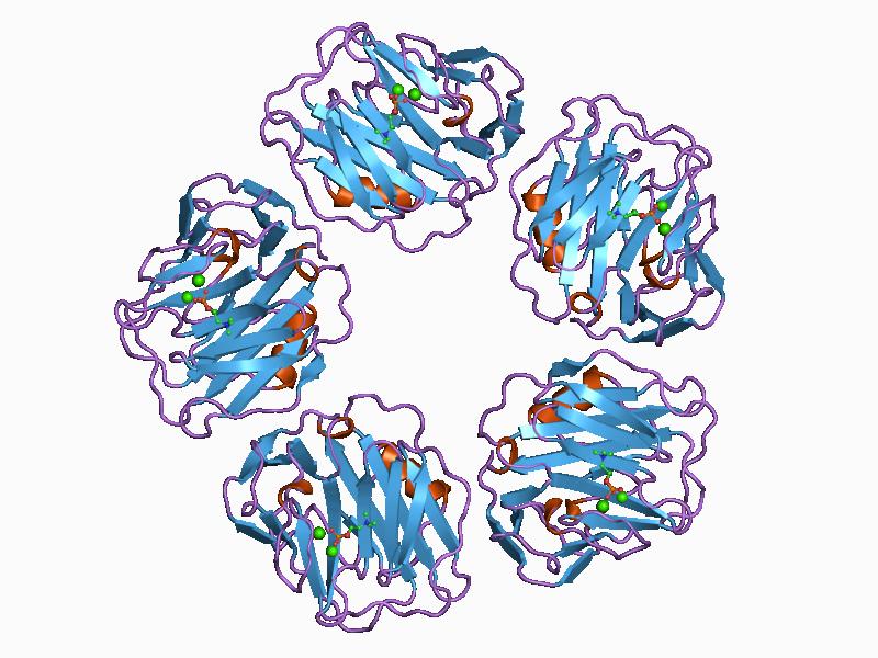 البروتين المتفاعل C (البروتين الارتكاسي C): الاختبار وتفسير النتائج