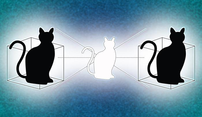 هل يمكن أن توجد قطة شردونجر في الحقيقة قد يجيبك الفيزيائيون قريبًا - إمكانية الوجود في أكثر من مكان مختلف في نفس الوقت - التراكب الكمي - التراكب المكاني