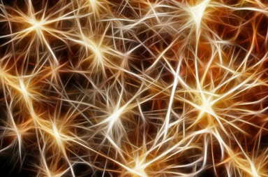 وسيلة جديدة تمكن الباحثين من مشاهدة العصبونات في أثناء إجراء الحسابات - الدماغ يشبه الحاسوب، تشغل فيه الخلايا العصبية وظيفة الدوائر الكهربائية