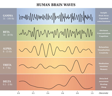 رسم يوضح ترددات الأنواع المختلفة من الذبذبات العصبية أو موجات نشاط الدماغ. (حقوق الصورة: Shutterstock)