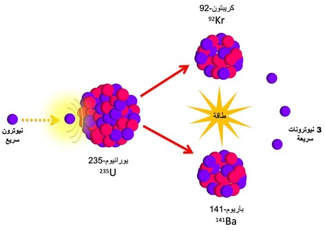 الشكل رقم 3: يظهر في الشكل التفاعل النووي الانشطاري لذرة اليورانيوم-235 الذي يبدأ من اصطدام نيوترون سريع بالنواة. تنتج عن عملية الانشطار عدة نواتج مثل الكريبتون-92 والباريوم-141 و3 نيوترونات سريعة، بالإضافة إلى الطاقة. دور النيوترونات الثلاثة مهم جدًا، إذ إنها تستمر في عملية الانشطار وتضاعفها عندما تصطدم بأنوية يورانيوم-235 أخرى.