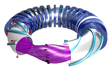 الشكل رقم 4: يظهر في هذا الشكل تخطيط جهاز التوكاماك، حيث نرى اللفائف ذات اللون الأزرق الغامق واللون الأزرق الفاتح التي تنتج الحقل المغناطيسي. تُنتج هذه اللفائف حقلًا مغناطيسيًا حَلَقيًا (من حَلَقَة) ومجدولًا يظهر باللون البنفسجي والأسهم السوداء، حيث تسير في مركزه المواد الحارة التي تتفاعل في عملية الاندماج النووي. قد تصل شدة الحقل المغناطيسي في الجهاز إلى 20 تسلا (450 ألف مرة أكبر من حقل الأرض المغناطيسي) 