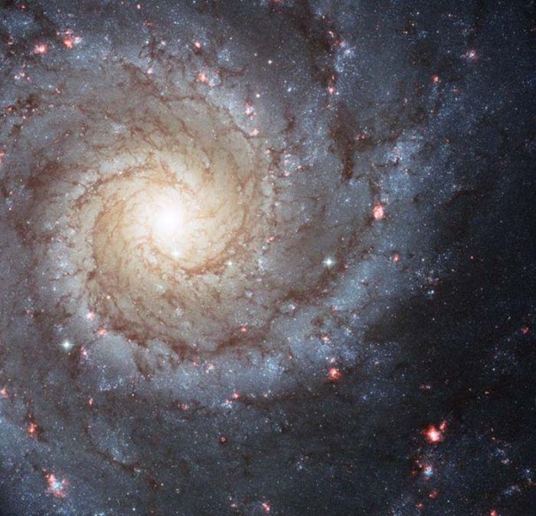 صورة هابل لـ NGC 628، صُدرت عام 2007.
