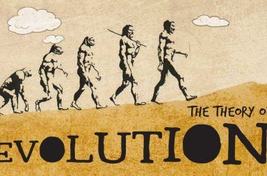 نظرية داروين عن التطور والانتخاب الطبيعي