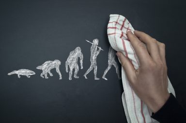لماذا تنجو بعض الأنواع بينما تنقرض أنواعًا أخرى؟ هل التطور متجه لأن يكون أكثر تعقيدًا؟ هل تستطيع القردة أن تتطور إلى أشباه بشر آخرين؟