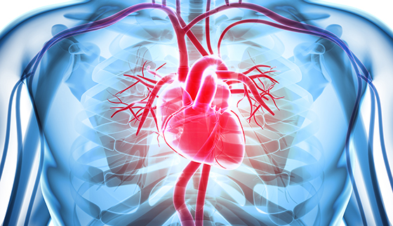 ما الضرر الذي يلحقه كوفيد-19 بالقلب؟ - النتائج التي تلحقها الإصابة بكوفيد-19 بصحة القلب - أعراض انزعاج وألم في القلب بعد الإصابة بالكورونا - الأعراض القلبية