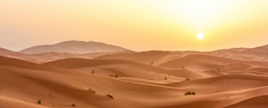 الصحراء الكبرى زادت مساحتها 10% وهذا ما عليك أن تعرفه