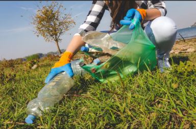 تهجين إنزيم متحول ليصبح أفضل ست مرات في التهام البلاستيك - طورت بعض الميكروبات طريقة تساعد النباتات على التهام البلاستيك - الحد من التلوث