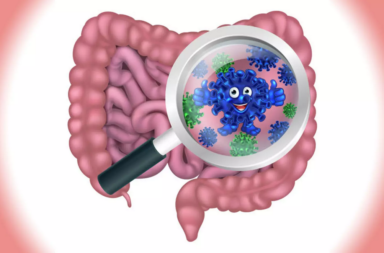 بكتيريا في الأمعاء مرتبطة بمتلازمة القولون العصبي - الجراثيم الملتوية التي تصيب الأمعاء - العلاقة بين البكتيريا والقولون العصبي - متلازمة القولون العصبي