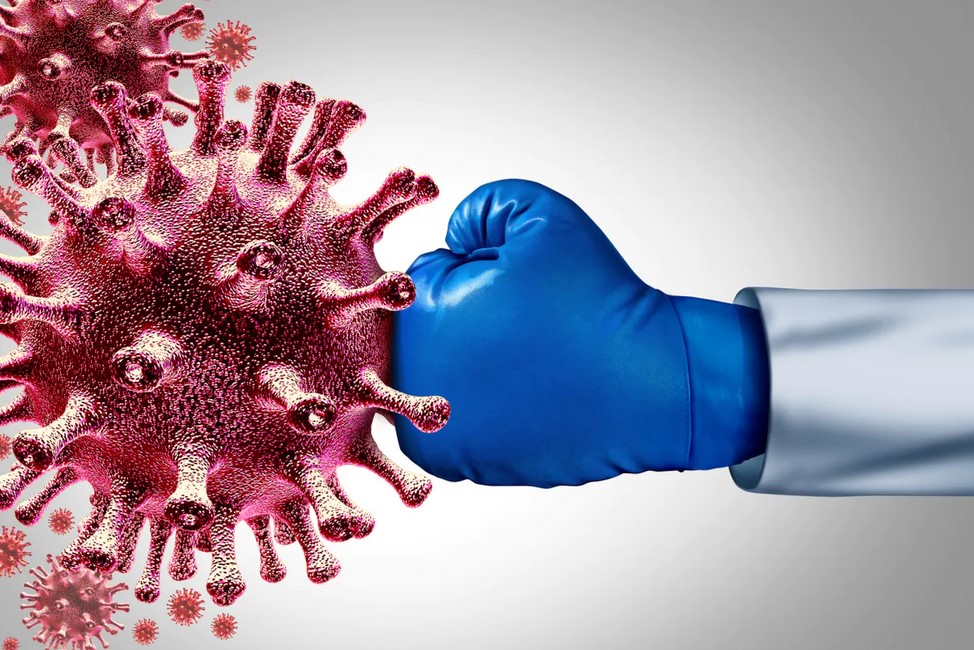 المناعة المدربة: إعادة برمجة الجهاز المناعي الفطري للوقاية من الأمراض