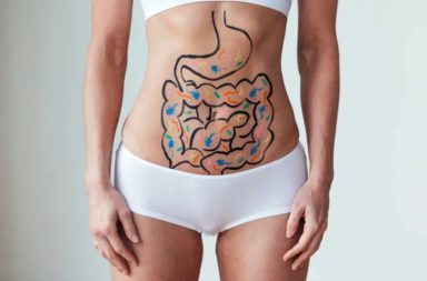 كيف تؤثر بكتيريا الأمعاء في فقدان الوزن؟ ما الوظائف العديدة المهمة التي تقوم بها بكتيريا الأمعاء في أجسادنا؟ كيف يؤثر ميكروبيوم الأمعاء في الوزن؟