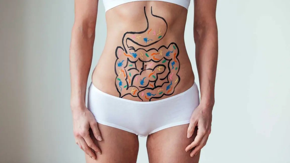 كيف تؤثر بكتيريا الأمعاء في فقدان الوزن؟