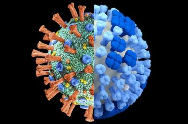 يحذر خبراء من وباء مرافق لكوفيد مع ازدياد الإصابة بفيروس الإنفلونزا شتاءً - يشكل قدوم موسم الإنفلونزا تهديدًا سيئًا للسنة القادمة