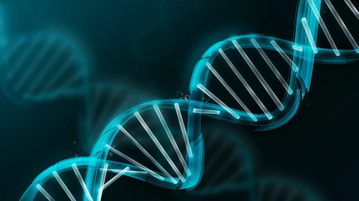 ماذا تعلمنا من مشروع الجينوم البشري؟