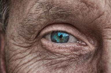 طور العلماء نظام ذكاء اصطناعي يستطيع أن يحلل الفحوص العينية المجراة خلال زيارة روتينية لطبيب عيون من خلال دراسة التغيرات في شبكية العين